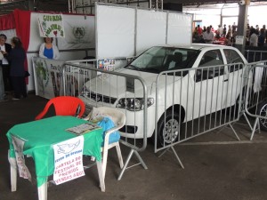 Festa do Divino 2015 006