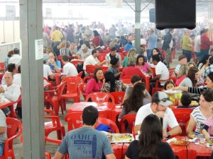 Festa do Divino 2015 014