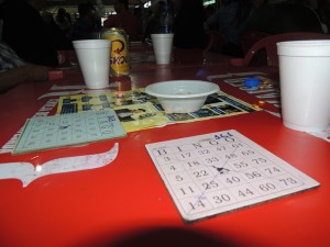 Festa do Divino 2015 021