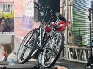 Festa do Divino 2015 022