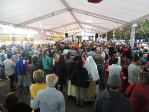 Festa do Divino 2015 023