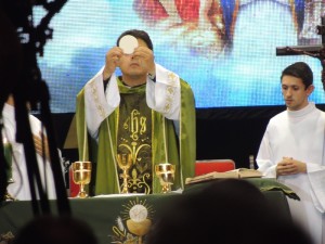 Festa do Divino 2015 054