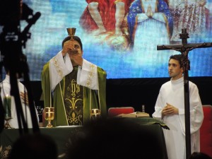 Festa do Divino 2015 055