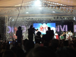 Festa do Divino 2015 059