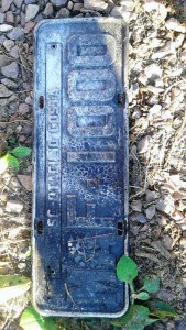 Incêndio toma conta de automóvel em plena via do balneário Mariluz - FOTO Julio César de Souza