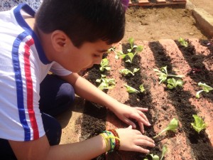 APM Terminals Itapoa 02