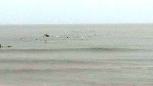 Corpo de Bombeiros de Itapoá realiza seletiva para curso de guarda vidas e divulga resultado