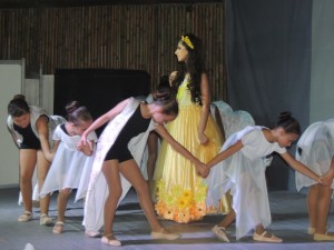 Mostra de Dança do Projeto AJE 2015 019