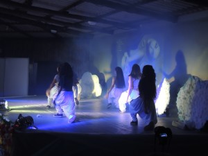 Mostra de Dança do Projeto AJE 2015 030