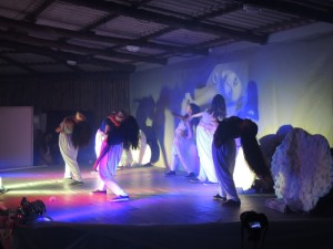 Mostra de Dança do Projeto AJE 2015 033