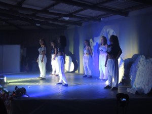 Mostra de Dança do Projeto AJE 2015 034