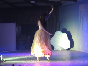 Mostra de Dança do Projeto AJE 2015 039