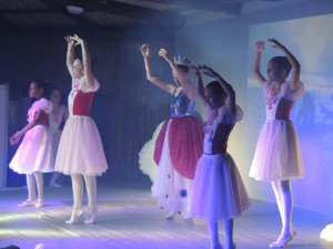 Mostra de Dança do Projeto AJE 2015 046