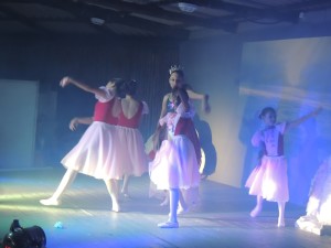 Mostra de Dança do Projeto AJE 2015 047
