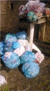 Contribuintes reclamam e concessionaria emite nota sobre falha na coleta de lixo em Itapoa 2