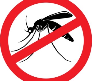 Palestra com orientacoes sobre o Aedes Aegypti sera promovida pelo posto do Samambaial
