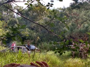 Taxista e ex-vereador Sergio da Barra e assassinado em Itapoa 10