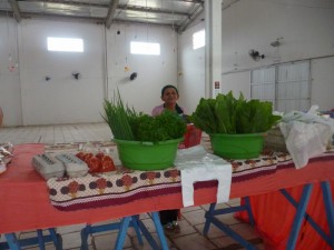 resized_Feira Livre de Itapoa 13