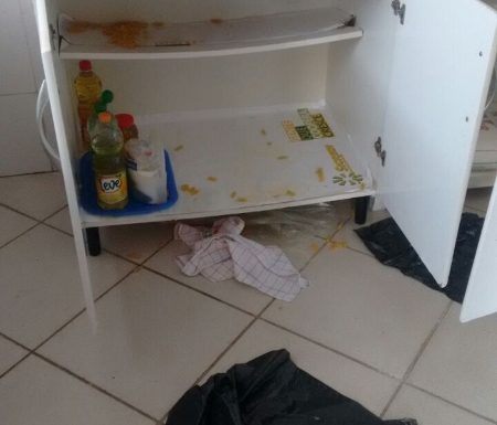 Arrombamento na APAE de Itapoa deixa comunidade em alerta 02 (450x800)