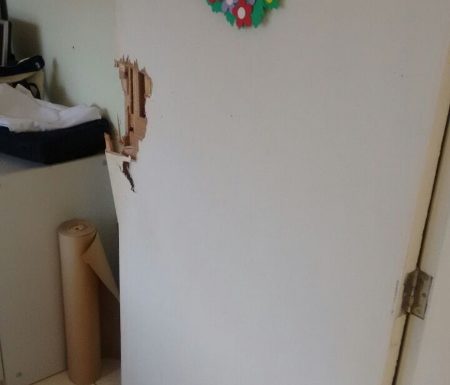 Arrombamento na APAE de Itapoa deixa comunidade em alerta 04 (450x800)