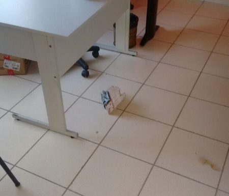 Arrombamento na APAE de Itapoa deixa comunidade em alerta 07 (450x800)