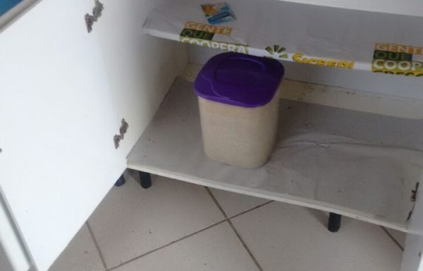 Arrombamento na APAE de Itapoa deixa comunidade em alerta Capa (720x537)