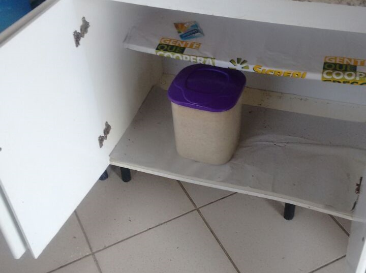 Arrombamento na APAE de Itapoa deixa comunidade em alerta Capa (720x537)