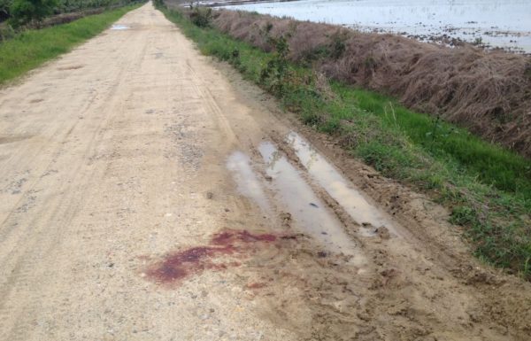 cadaver-encontrado-em-garuva-2-800x600