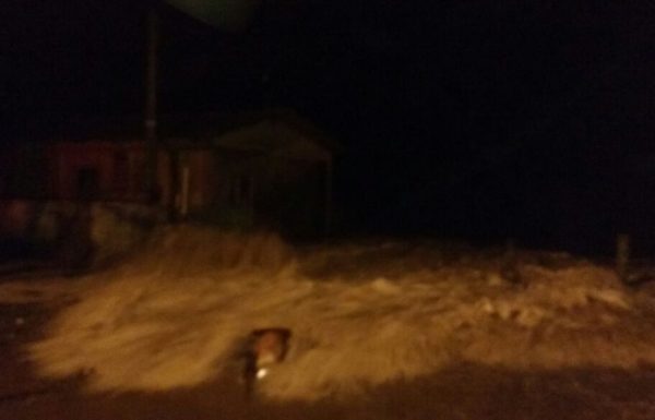 resgate-casa-rua-1390-em-itapoa-5-800x450