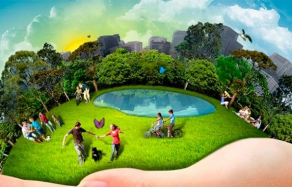 sustentabilidade-800x392