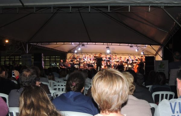 apresentacoes-de-natal-do-porto-itapoa-dia-16-12-16-061