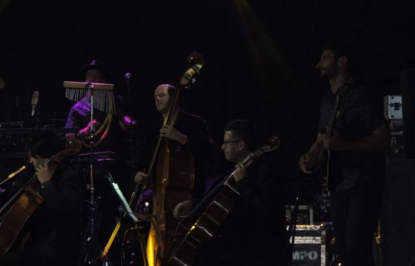 marley-in-camerata-em-itapoa-dia-15-12-16-03