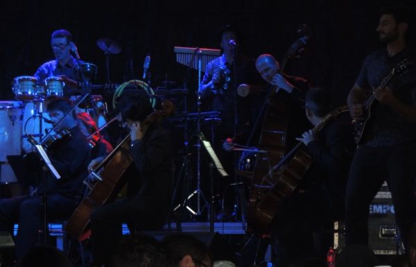 marley-in-camerata-em-itapoa-dia-15-12-16-11