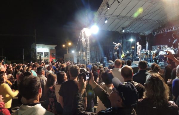 marley-in-camerata-em-itapoa-dia-15-12-16-12