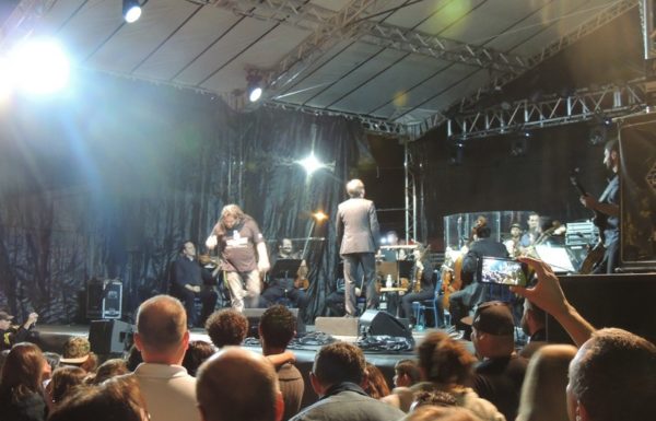 marley-in-camerata-em-itapoa-dia-15-12-16-13