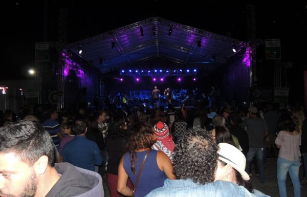 marley-in-camerata-em-itapoa-dia-15-12-16-21