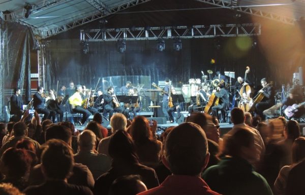 marley-in-camerata-em-itapoa-dia-15-12-16-51