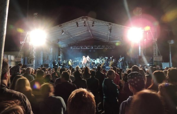 marley-in-camerata-em-itapoa-dia-15-12-16-52