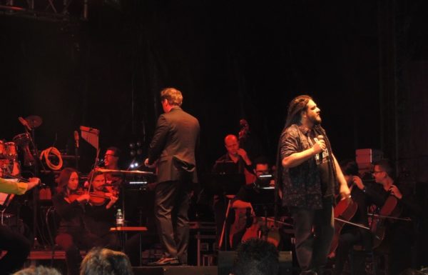 marley-in-camerata-em-itapoa-dia-15-12-16-59