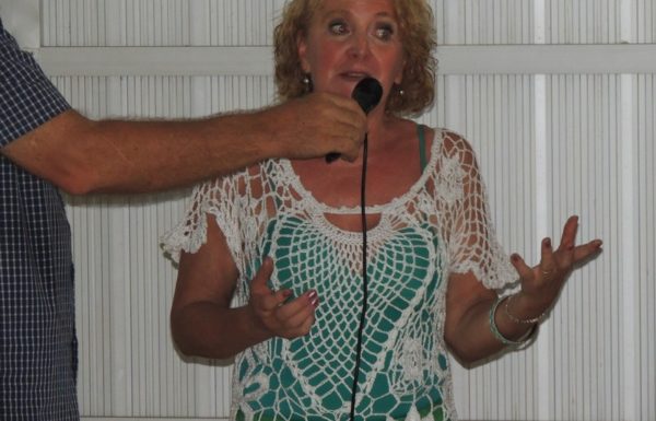 Artesaos expoem os paineis artisticos que enfeitarao o carnaval de Itapoa 2017 71