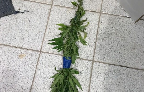 Homens assaltam loja de material de construcao em Itapoa e saointerceptados em Garuva 10