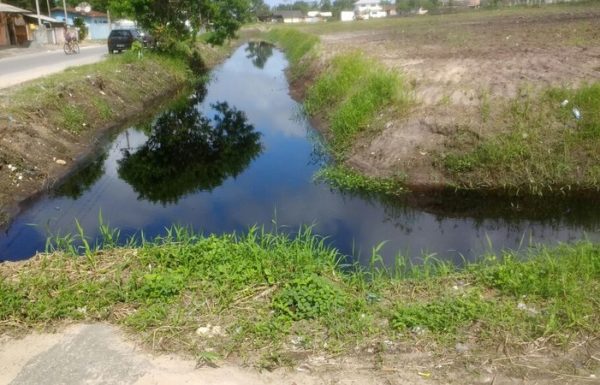 Bebe recem-nascido morre apos ser jogado em valeta de Guaratuba (PR) 1