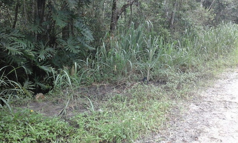 Corpo de homem encontrado no balneario Bamerindus