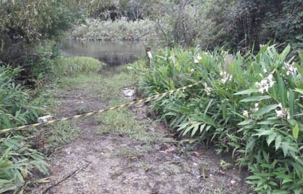 Corpo de homem vitima de homicidio e encontrado proximo a Estrada Cornelsen 01