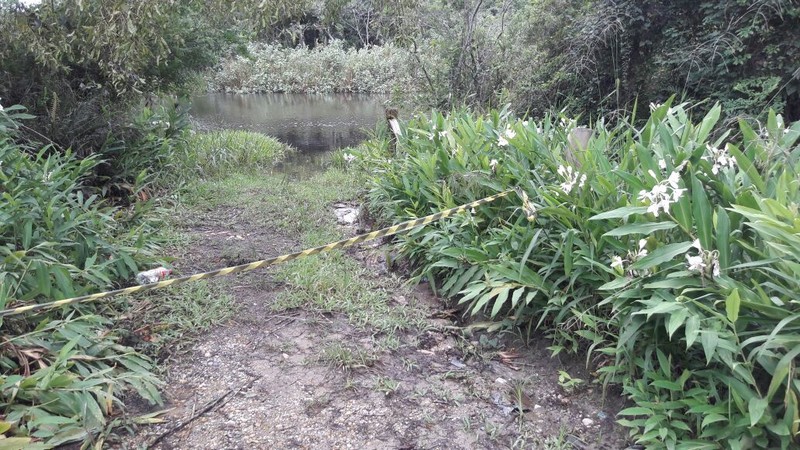 Corpo de homem vitima de homicidio e encontrado proximo a Estrada Cornelsen 01