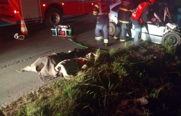 Grave acidente resulta em tres obitos na SC-416 2