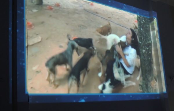 Comunidade debate situacao dos animais de rua em Itapoa 14