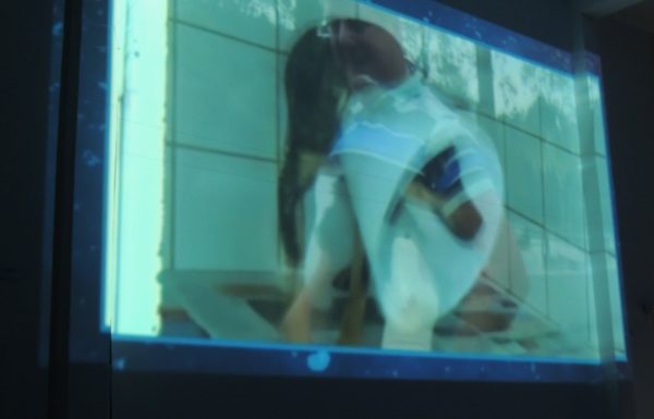 Comunidade debate situacao dos animais de rua em Itapoa 15