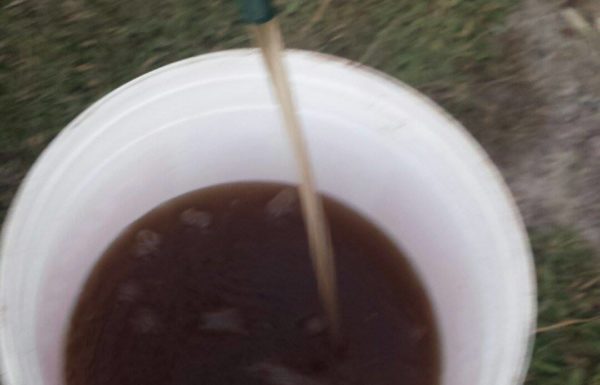 Cor da agua que sai das torneiras deixa moradores do Pontal preocupados