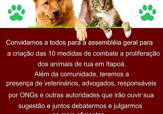 GRAI convida comunidade para debater a situacao dos animais de rua em Itapoa